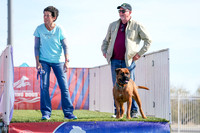 RielVisuals_NADD_Copper_Classic_20240128_125049_SJR09809