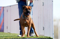 RielVisuals_NADD_Copper_Classic_20240128_125052_SJR09811