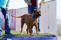 RielVisuals_NADD_Copper_Classic_20240128_125059_SJR09820