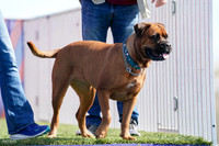 RielVisuals_NADD_Copper_Classic_20240128_125100_SJR09824