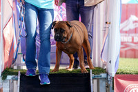 RielVisuals_NADD_Copper_Classic_20240128_125143_SJR09841