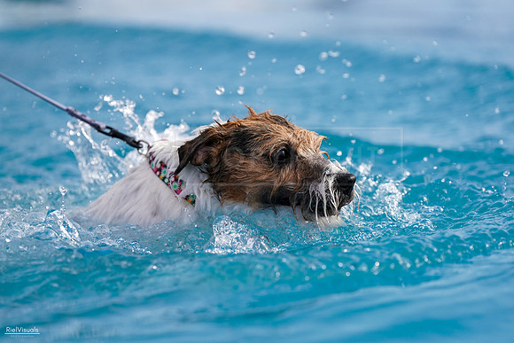 RielVisuals_NADD_Copper_Classic_20240128_145540_SJR04383