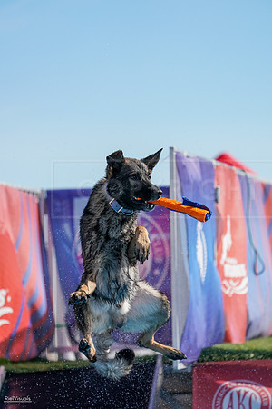 RielVisuals_NADD_Copper_Classic_20240128_113203_SJR07356