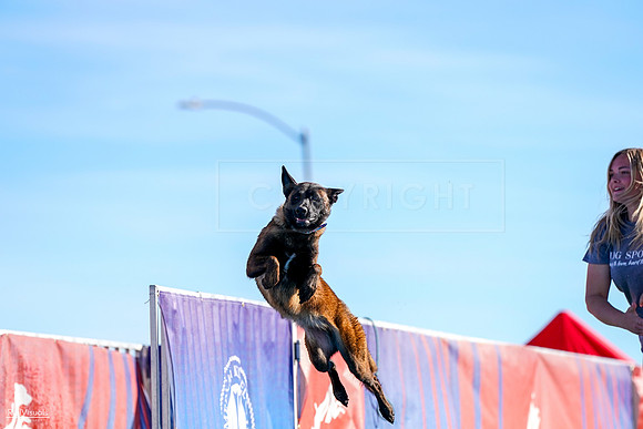 RielVisuals_NADD_Copper_Classic_20240128_102131_SJR05827
