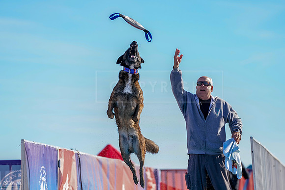 RielVisuals_NADD_Copper_Classic_20240128_102019_SJR05802
