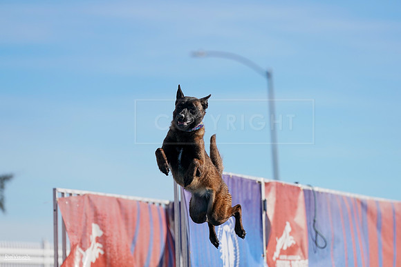 RielVisuals_NADD_Copper_Classic_20240128_102132_SJR05830