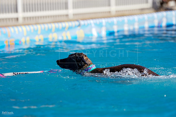 RielVisuals_NADD_Copper_Classic_20240128_102138_SJR05852