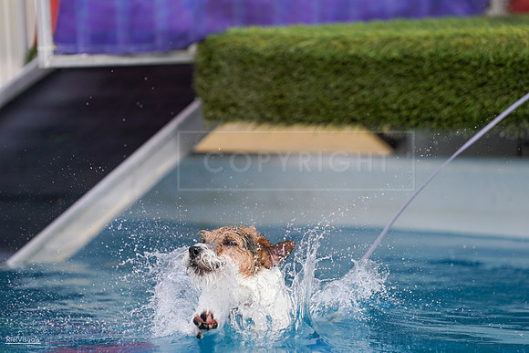 RielVisuals_NADD_Copper_Classic_20240128_150249_SJR04515