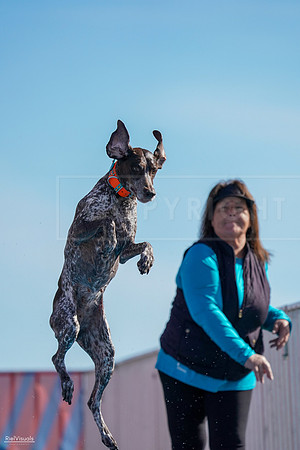 RielVisuals_NADD_Copper_Classic_20240128_113609_SJR07510