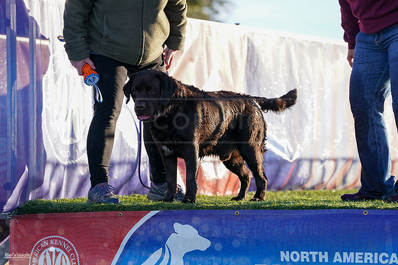 RielVisuals_NADD_Copper_Classic_20240128_083154_SJR03697