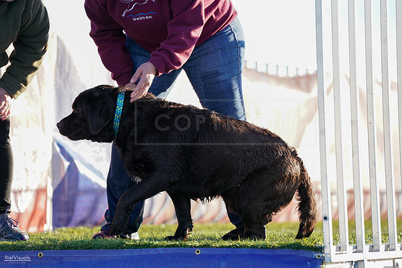 RielVisuals_NADD_Copper_Classic_20240128_083223_SJR03711