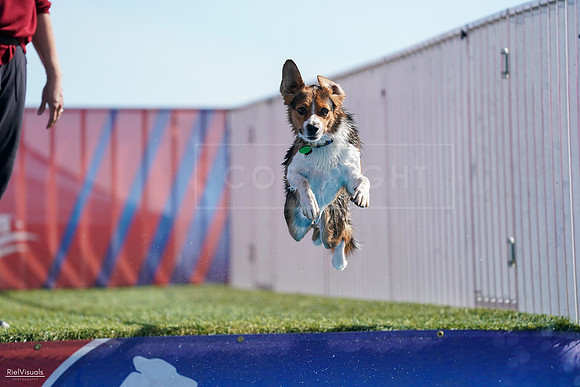RielVisuals_NADD_Copper_Classic_20240128_114552_SJR08009