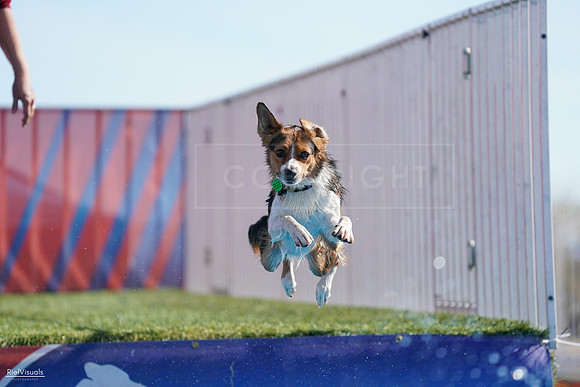 RielVisuals_NADD_Copper_Classic_20240128_114552_SJR08011