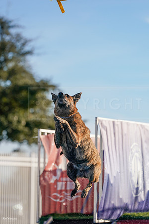 RielVisuals_NADD_Copper_Classic_20240128_084638_SJR03950