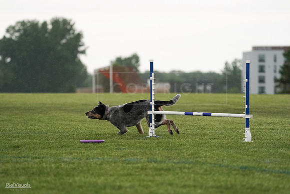 RielVisuals_20240526_094803_SJR01065