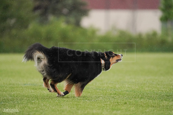 RielVisuals_20240526_094533_SJR00920