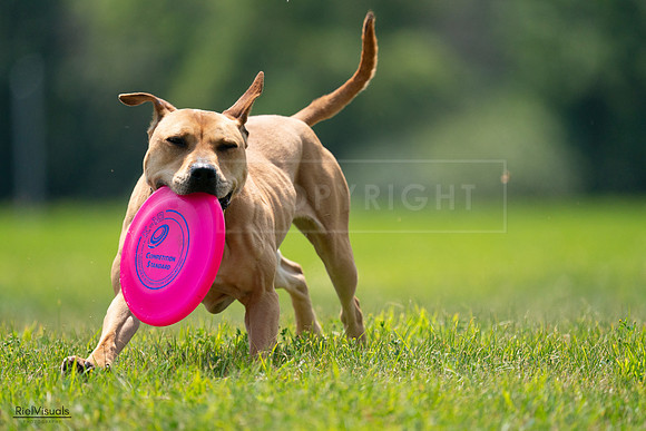 RielVisuals_20240727_131655_SJR07475