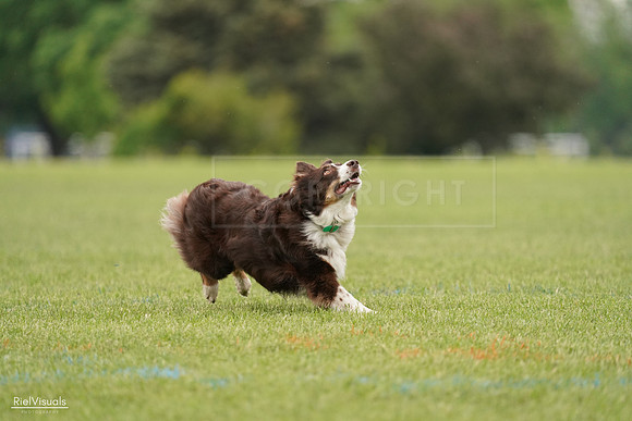 RielVisuals_20240527_132356_SJR09607