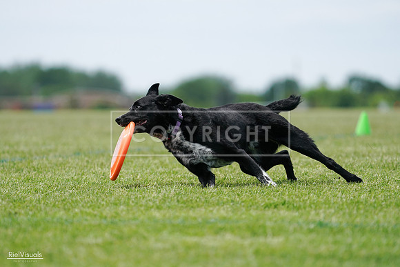 RielVisuals_20240525_124902_SJR01237