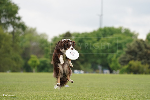 RielVisuals_20240527_132432_SJR09665