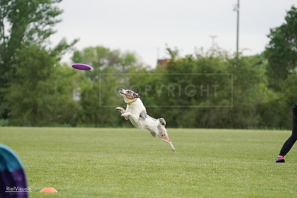 RielVisuals_20240526_092830_SJR00133