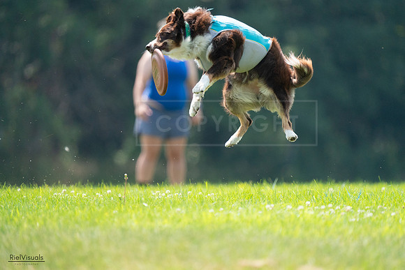 RielVisuals_20240727_120517_SJR04733