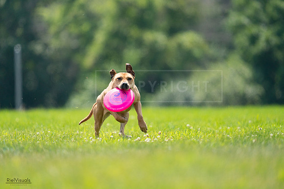 RielVisuals_20240727_131652_SJR07452
