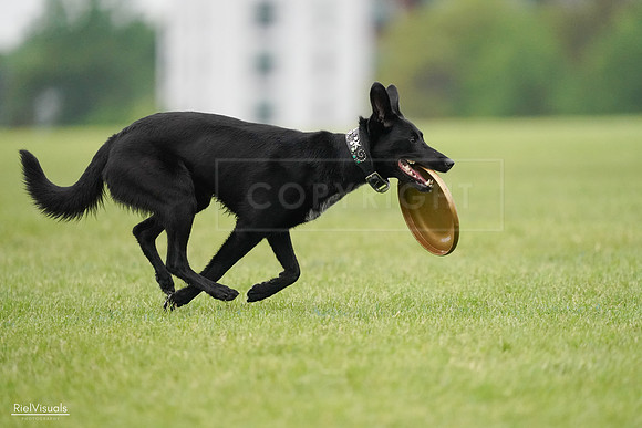 RielVisuals_20240527_110436_SJR02852