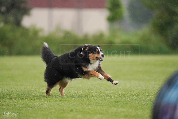 RielVisuals_20240526_094528_SJR00911