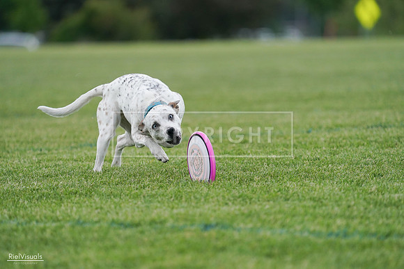 RielVisuals_20240525_135409_SJR09862
