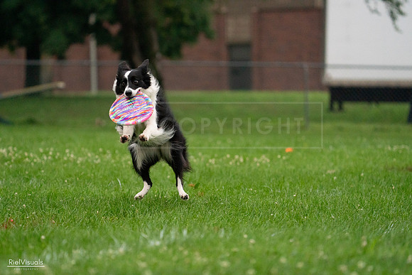 RielVisuals_20240722_194041_SJR01818