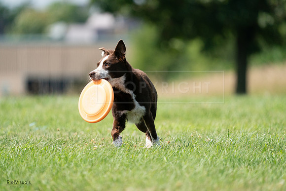RielVisuals_20240728_152019_SJR00600