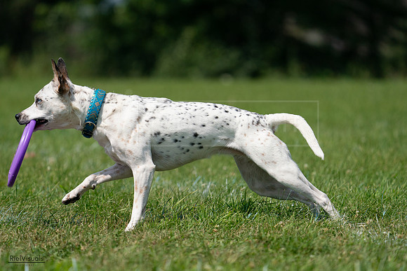 RielVisuals_20240728_120550_SJR02863