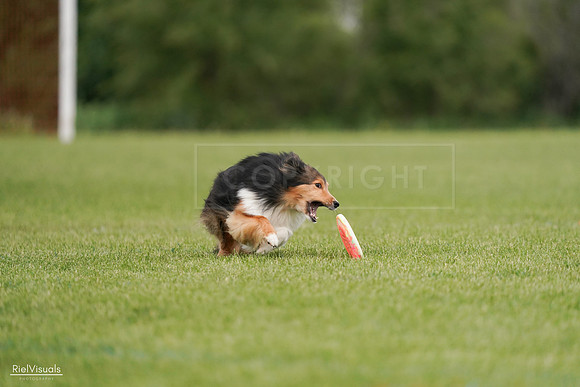 RielVisuals_20240527_140916_SJR01610