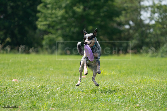 RielVisuals_20240728_134520_SJR07105