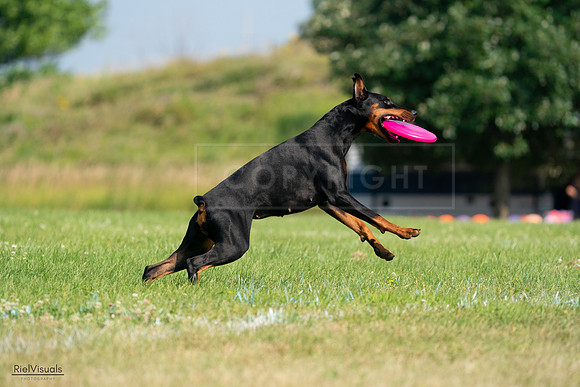 RielVisuals_20240727_100442_SJR08446