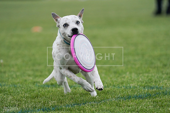 RielVisuals_20240525_135410_SJR09880