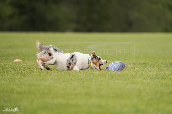 RielVisuals_20240527_140116_SJR01209