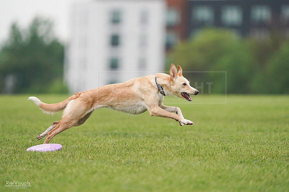 RielVisuals_20240527_110716_SJR03032