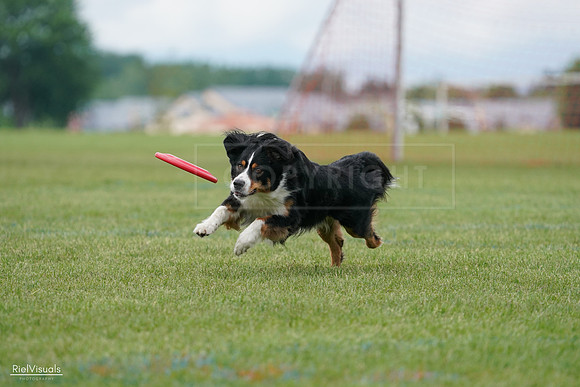RielVisuals_20240527_142424_SJR02649