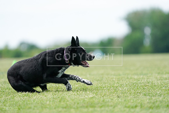 RielVisuals_20240525_124951_SJR01318