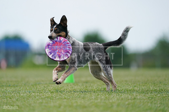 RielVisuals_20240525_125144_SJR01394
