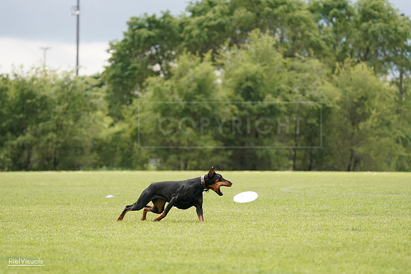 RielVisuals_20240527_134111_SJR00919