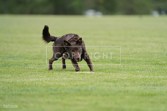 RielVisuals_20240525_162109_SJR04228