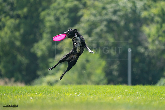 RielVisuals_20240727_125932_SJR06482