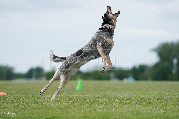 RielVisuals_20240525_125129_SJR01373