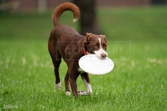 RielVisuals_20240722_191926_SJR00619