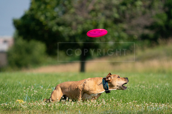 RielVisuals_20240727_093059_SJR06601