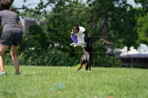 RielVisuals_20240727_140358_SJR09471