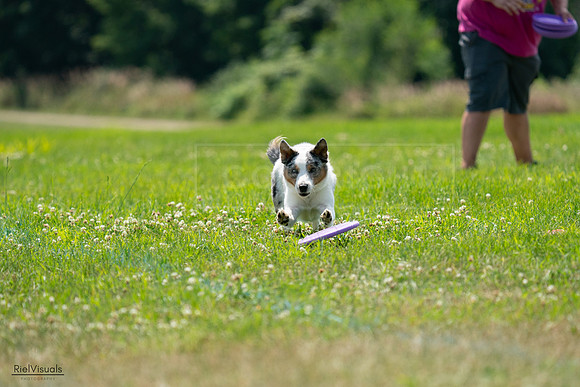 RielVisuals_20240728_130559_SJR05057